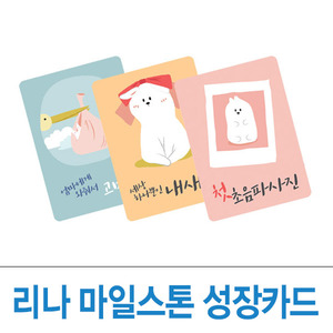 리나 마일스톤 임신카드/성장카드/출산선물/임신선물